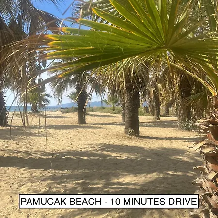 Elegant Ephesus - Hadrian 塞尔丘克