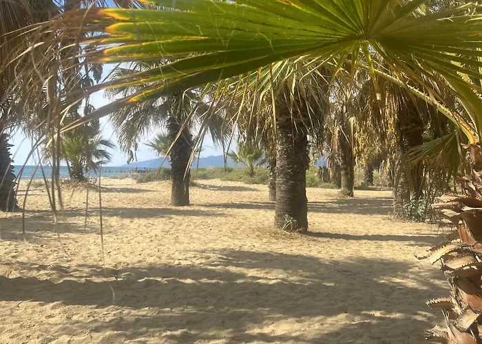 Elegant Ephesus - Hadrian 塞尔丘克